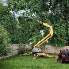 Best Tree Risk Assessment  in Breese, IL