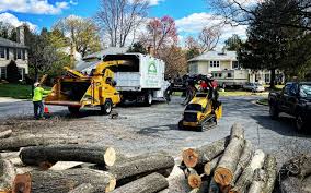 Best Palm Tree Trimming  in Breese, IL