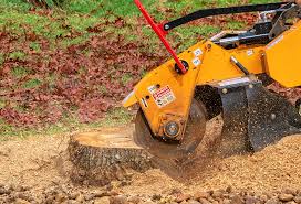 Seasonal Cleanup (Spring/Fall) in Breese, IL
