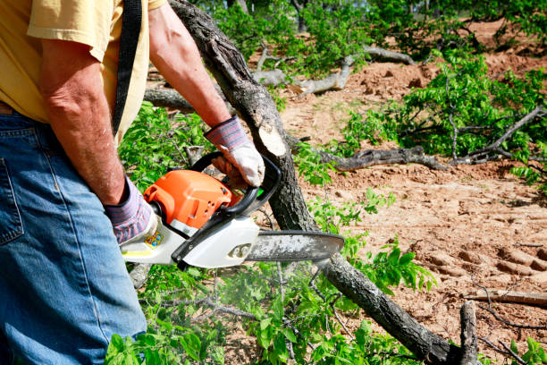 Best Tree Mulching  in Breese, IL
